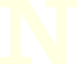 Natural Instinct Logo Icon